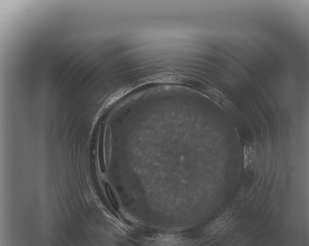 X0000059840349200510281830