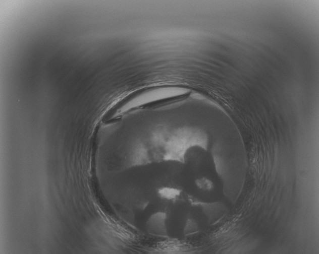 X0000059840351200510281830