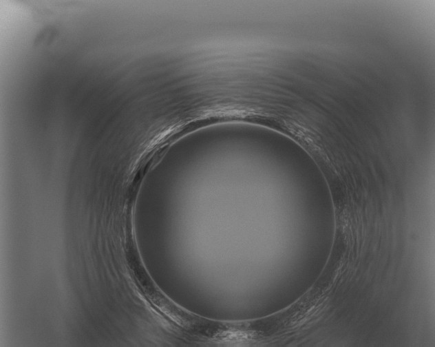 X0000059840352200510281830