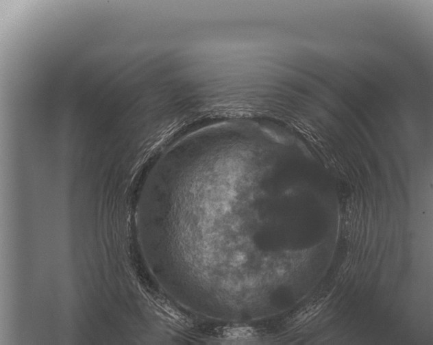 X0000059840355200510281830