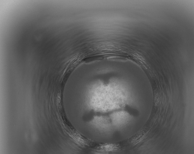 X0000059840365200510281830