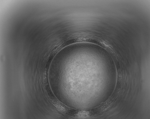 X0000059840369200510281830