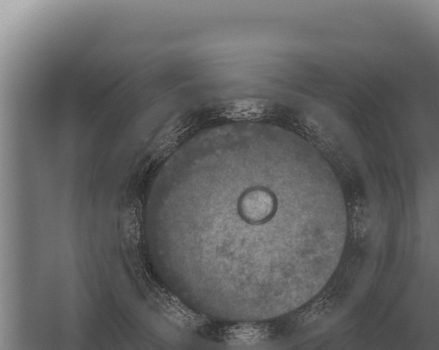 X0000059840370200510281830