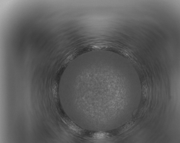 X0000059840375200510281831