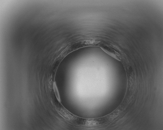 X0000059840376200510281831