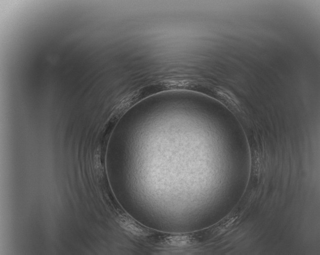 X0000059840377200510281831