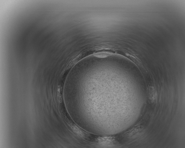 X0000059840378200510281831