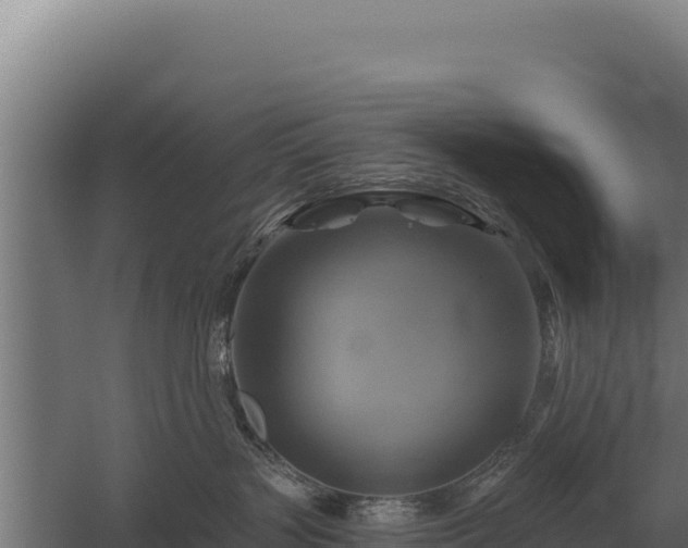 X0000059840383200510281831