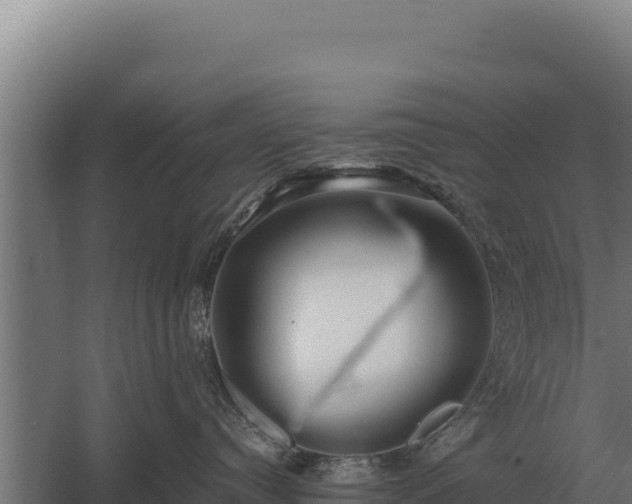 X0000059840384200510281831