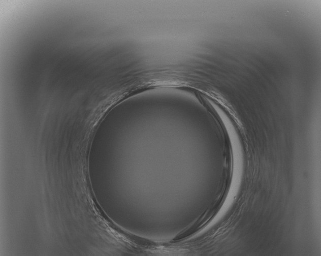 X0000059840385200510281830