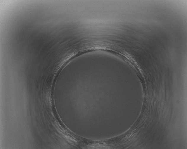 X0000059840386200510281830