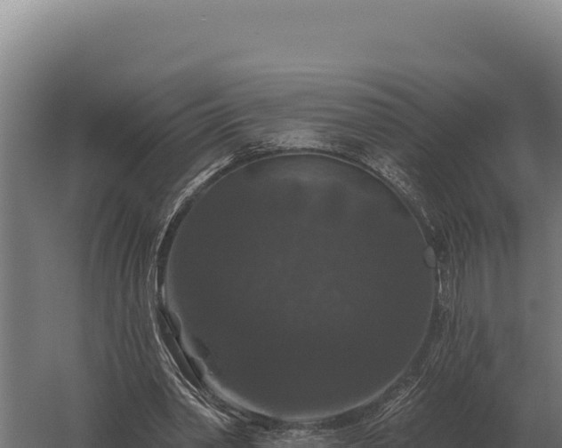 X0000059840390200510281830