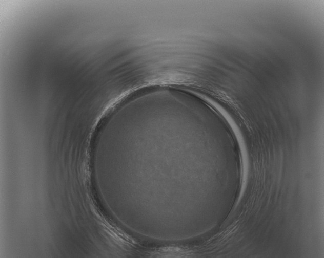 X0000059840392200510281830