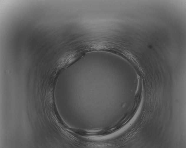 X0000059840393200510281830