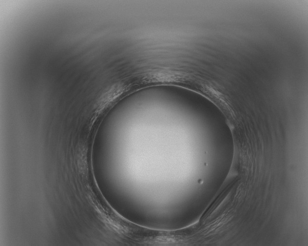 X0000059840394200510281830