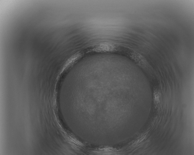 X0000059840396200510281830