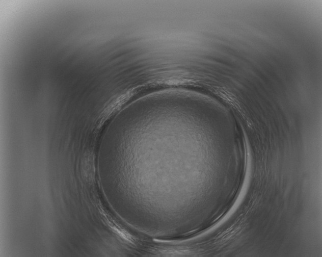 X0000059840397200510281830