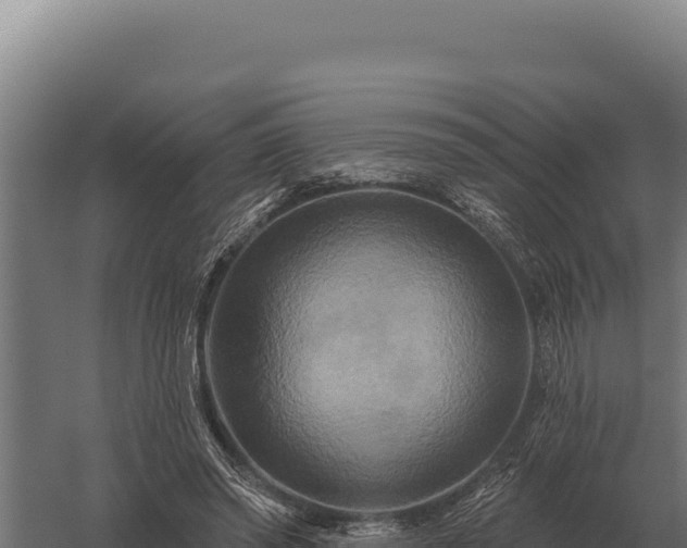 X0000059840398200510281830