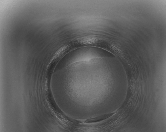 X0000059840400200510281830