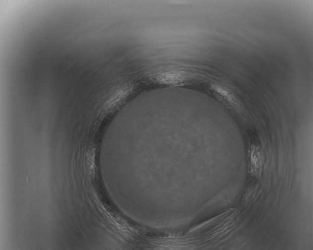 X0000059840404200510281830