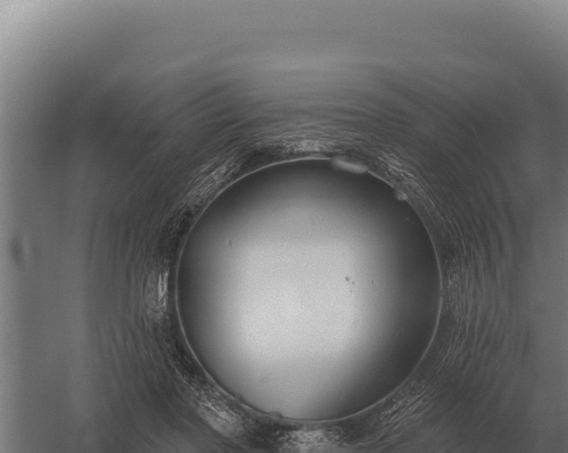 X0000059840406200510281829