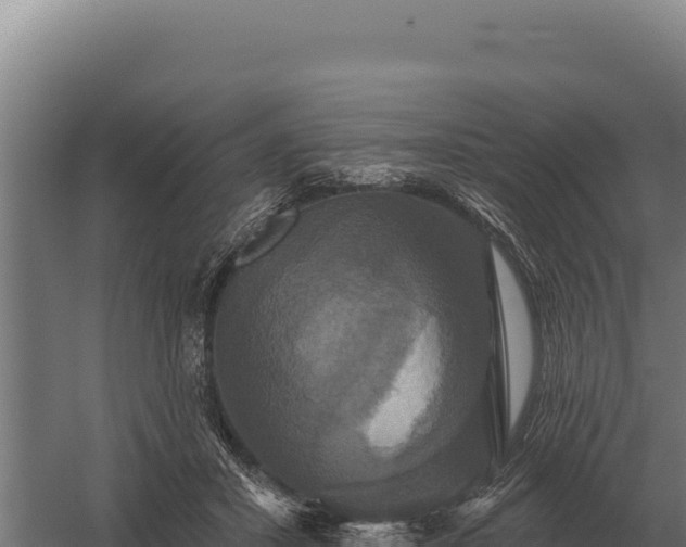 X0000059840407200510281829