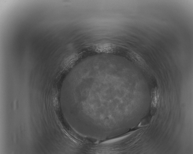 X0000059840408200510281829