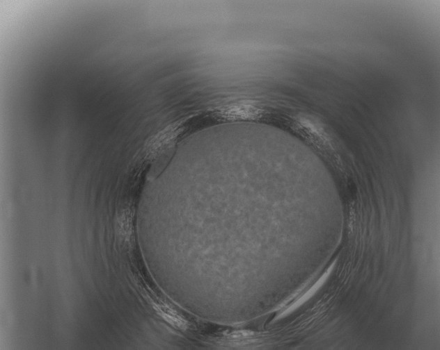 X0000059840409200510281829