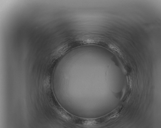 X0000059840410200510281829