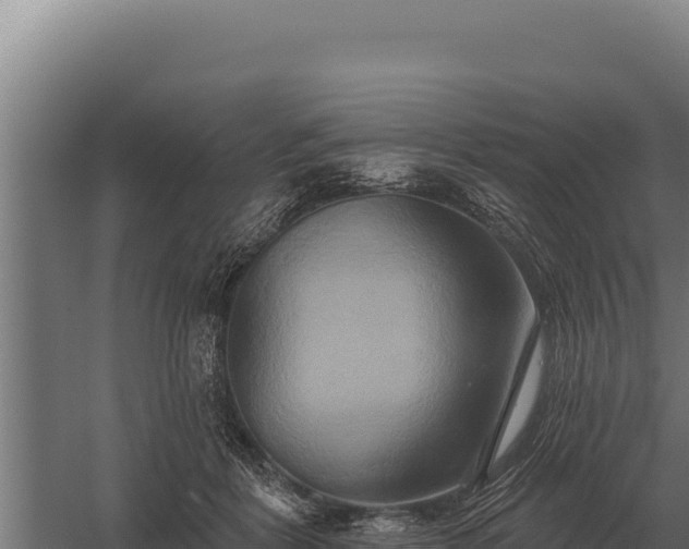 X0000059840412200510281829