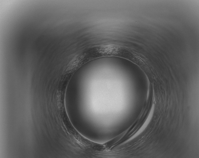 X0000059840416200510281829