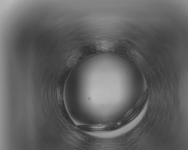 X0000059840420200510281829