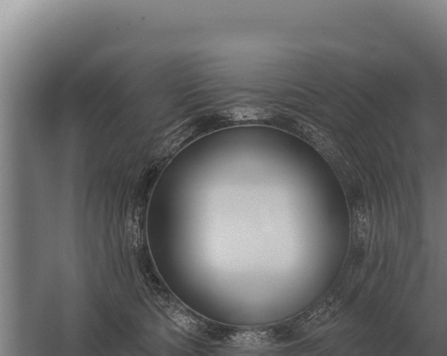 X0000059840422200510281829