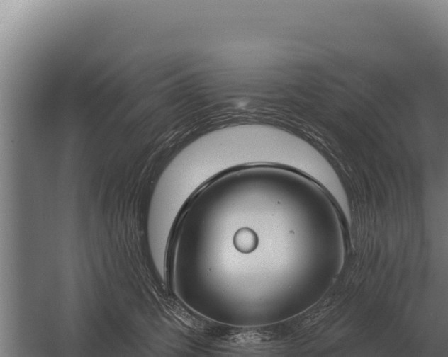 X0000059840423200510281829