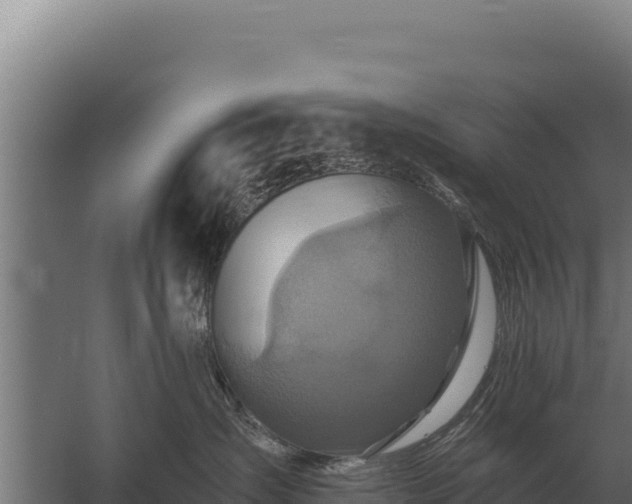 X0000059840431200510281829