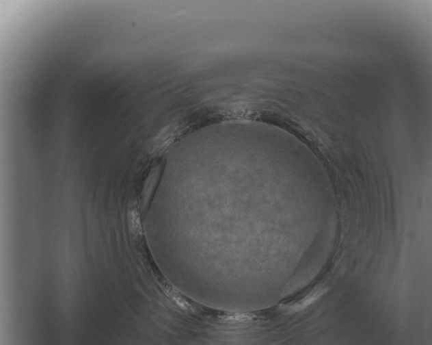 X0000059840432200510281829