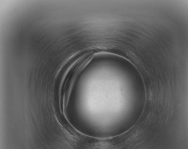 X0000059840444200510281828