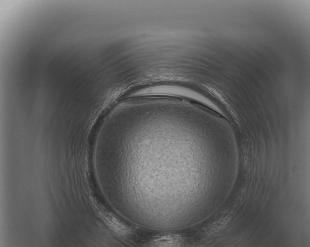 X0000059840447200510281828