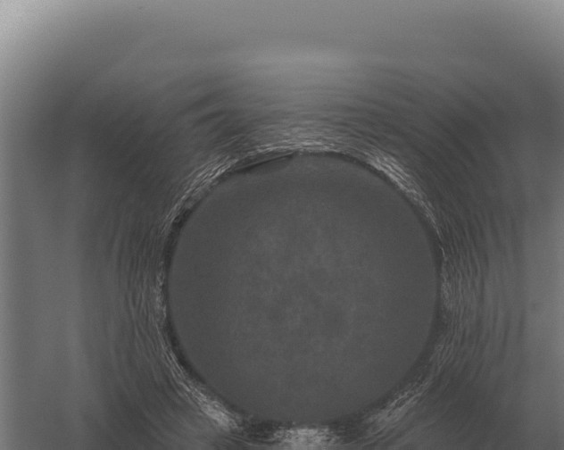 X0000059840449200510281829