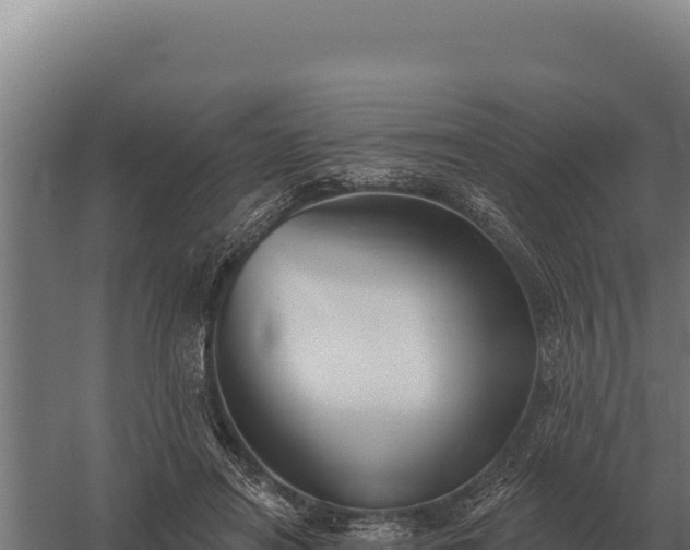 X0000059840454200510281829