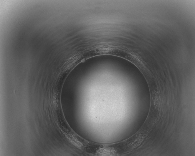 X0000059840455200510281829