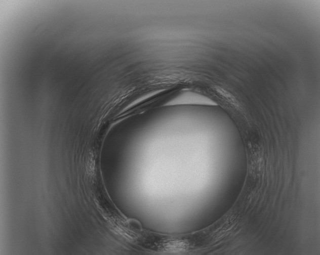 X0000059840456200510281829