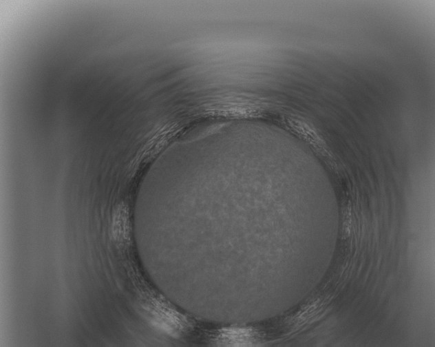 X0000059840457200510281829