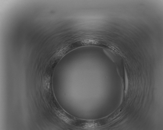 X0000059840458200510281829