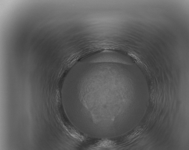 X0000059840459200510281829