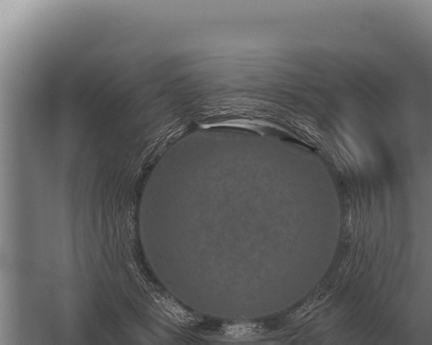 X0000059840461200510281829