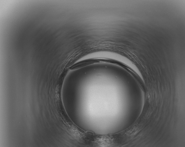 X0000059840466200510281829