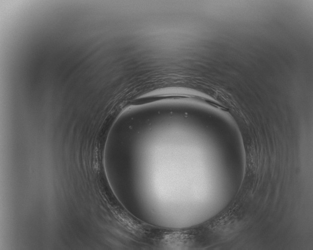 X0000059840470200510281829