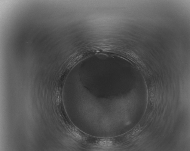 X0000059840471200510281829