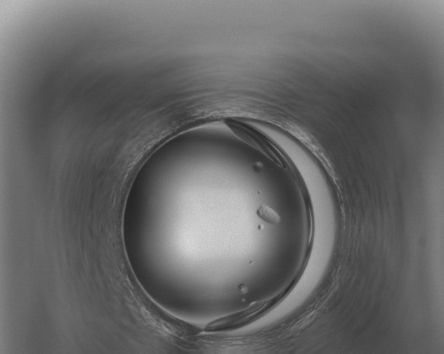 X0000059840481200510281828